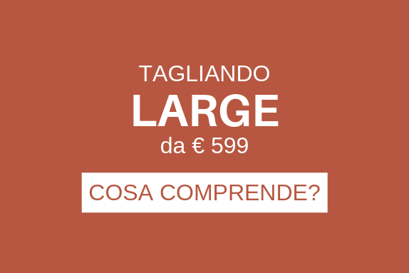 Tagliando auto large