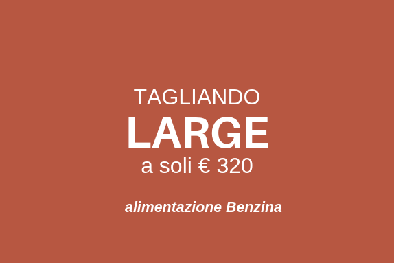 Tagliando SMART BENZINA