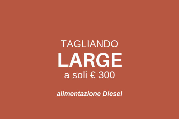 Tagliando SMART DIESEL