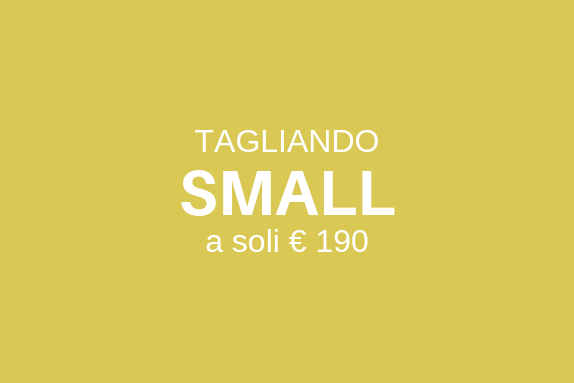 Tagliando SMART small
