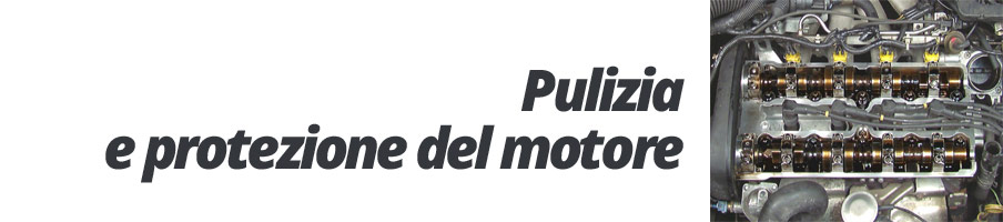 Tagliando Pulizia motore