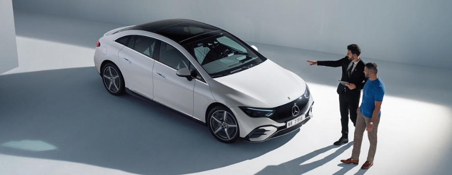 Revisione Mercedes Trivellato