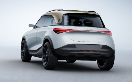 smart concept vista posteriore