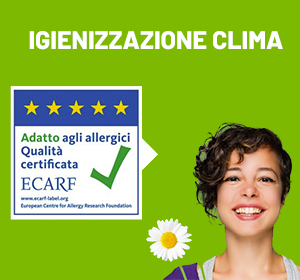 igienizzazione clima auto trivellato